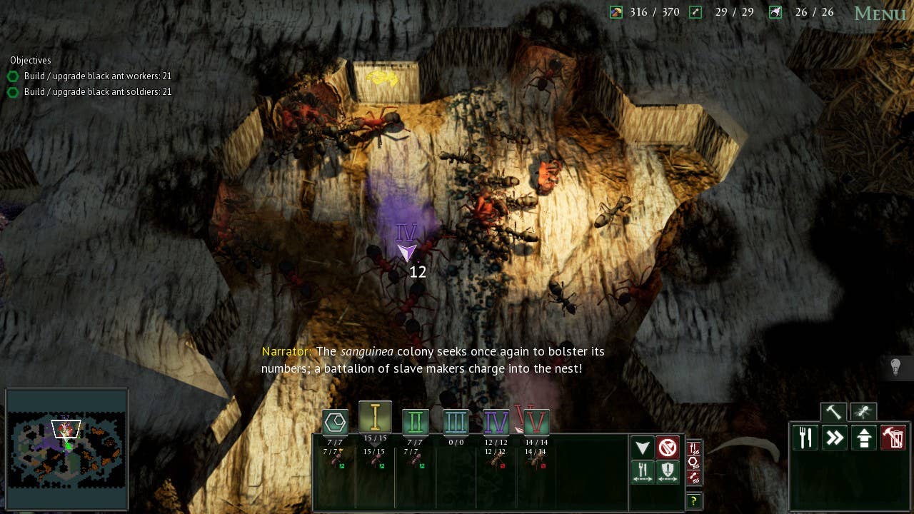 Ants clearing space in a wee underground room.